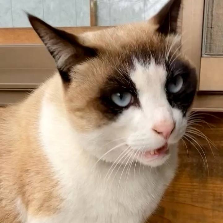 2567529b c5f0 43e8 82d5 6a1875b415d3 1741869115568