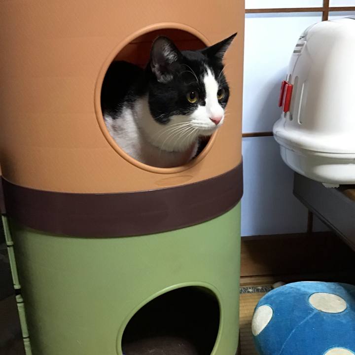 25675519 63ea 4895 86d9 a7b75fd6cd2f 1645089425888