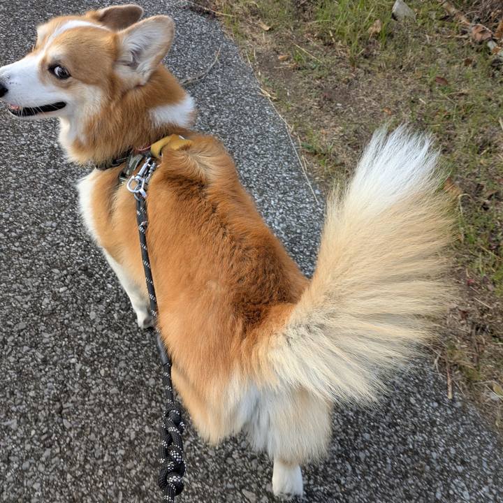 2567beb6 0eb9 404b 9314 125d7fc1b88f 1764557042373