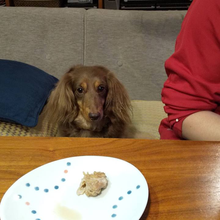 2567c62b 34db 4a63 8d37 a140c7b371c0 1557837093780