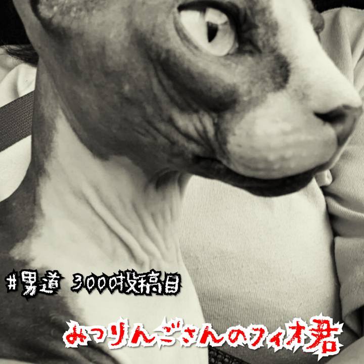 2567d4ed 8621 4580 9ece 00f34d61bf01 1569642304062