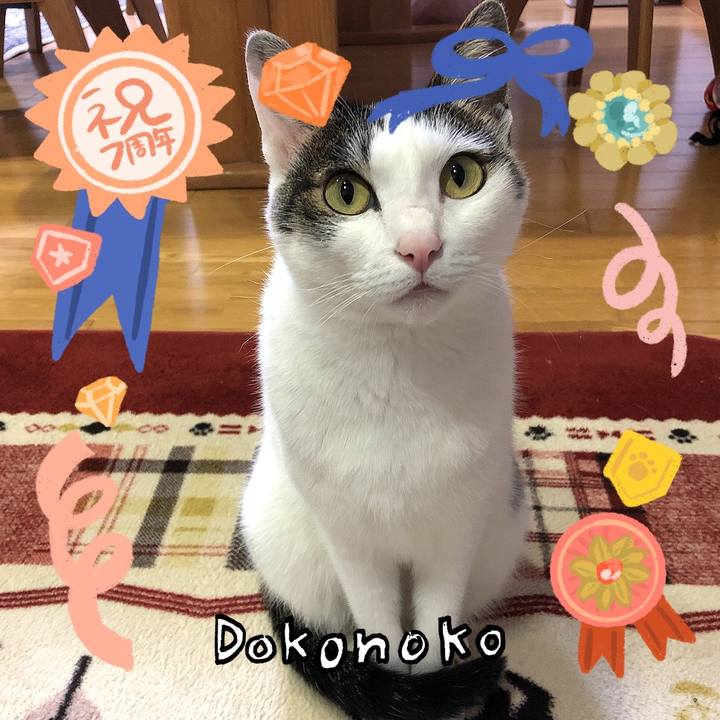 2567e72e 2642 4a33 963b 6a1cd158a4ce 1685969085639