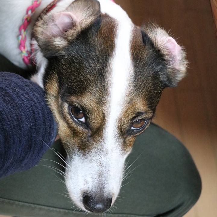 25683286 9a30 47cf a5a2 da0c9c3ea482 1515297460802