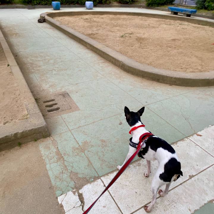 2568353d f97b 4fb5 867d 1b5e6e0a9441 1591703905491