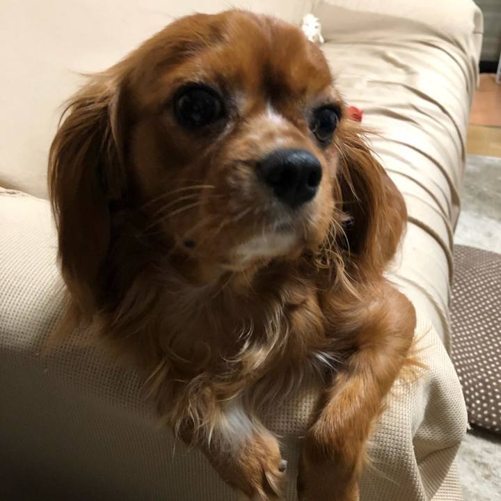 25684cc8 c3c1 4245 b98b 04c10e10e479 1525817605649