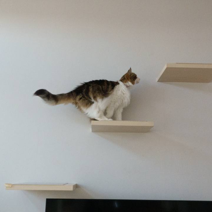 25686127 db05 4548 b6e2 b476d0fc32ba 1734581742281