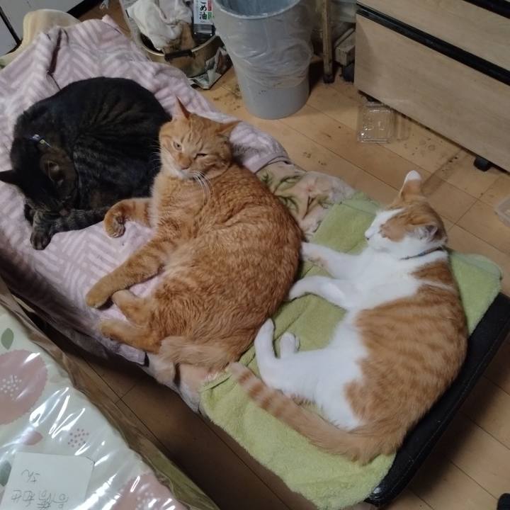 25686884 f297 4209 852b 185a7b48455d 1733826107493