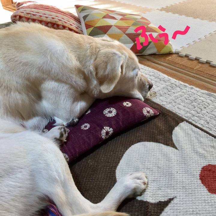 2568688e e7ff 464a 9958 cd9cf6065ba4 1552467737703