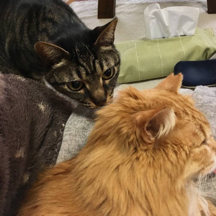 256886bd 3051 4b3d bf14 cdc504dda1db 1523596387191