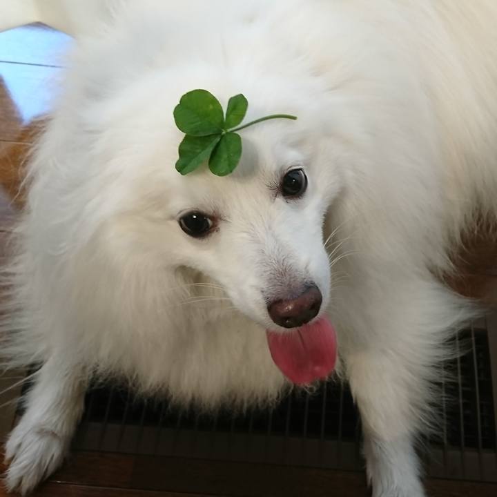 25689cc1 df10 4248 bea3 1f809fc99614 1621758689573