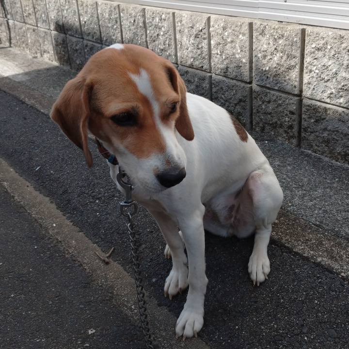 2568a382 6e31 4022 8a0c 108ddefe4d40 1604217273408