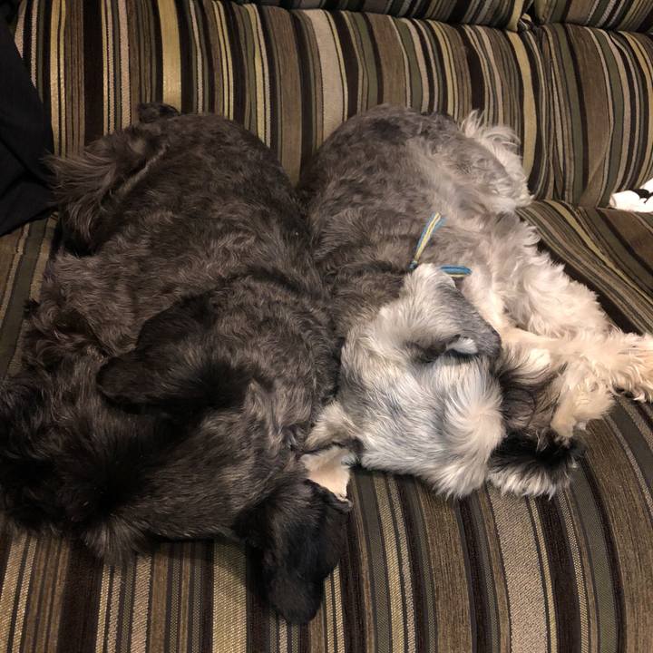 2568b45c 02cb 4466 b77c 27037cd6ca50 1540211138516