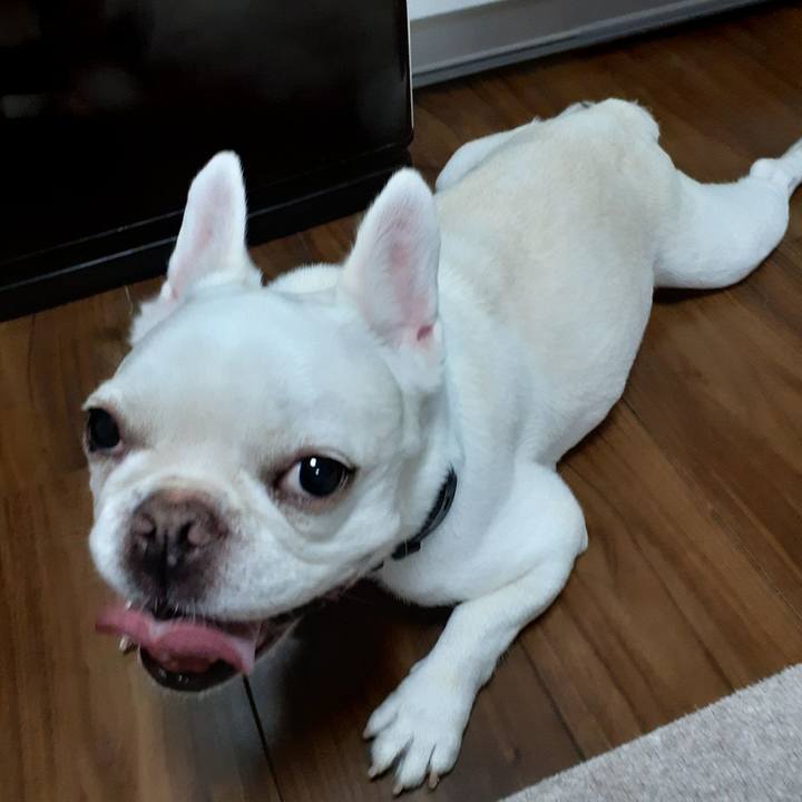 2568cecf fd57 45d6 a4ad 2080b73f249d 1658670289844