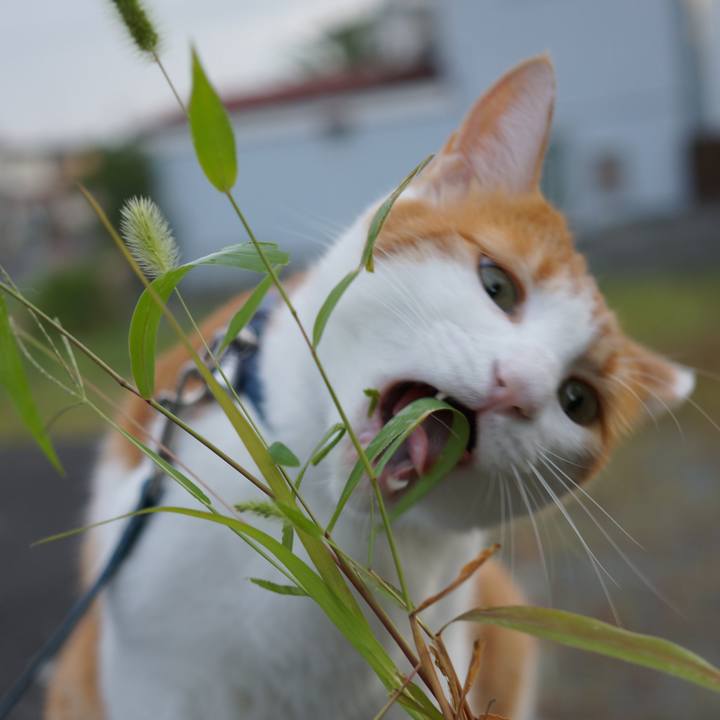 2568e525 fbad 4551 94e8 e9e7f71a4f81 1569761684304