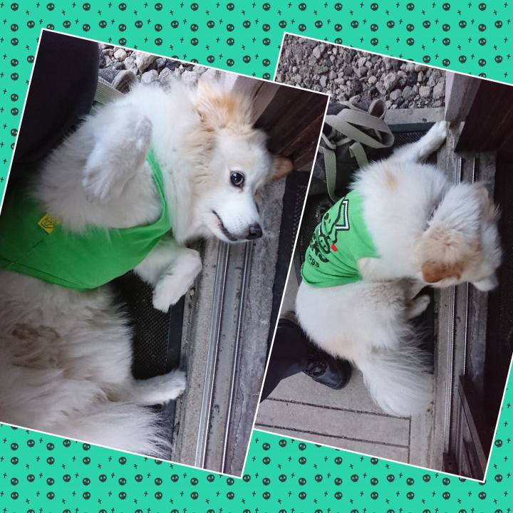 256905ec b1b2 4c76 8303 971356cb9847 1529323892624