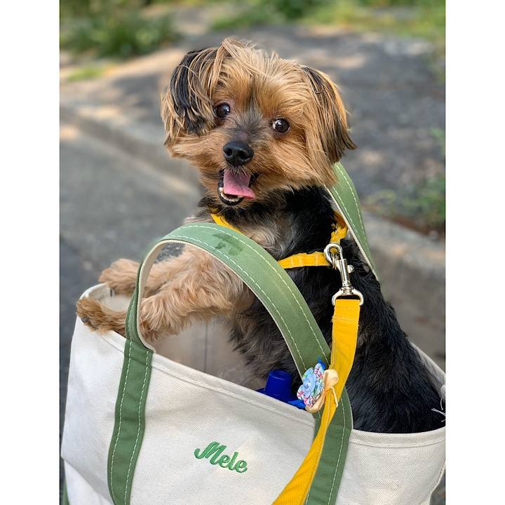 2569358a 814c 4df4 be24 4b644d9debc5 1589254716830