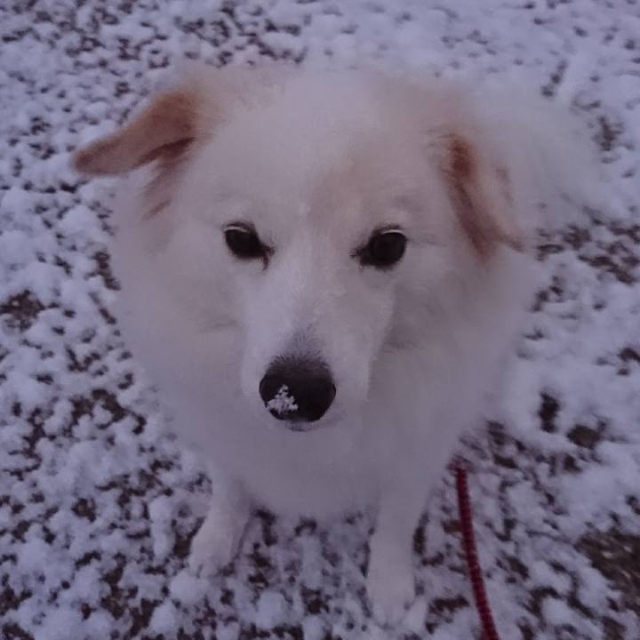 25693cf4 50fb 496d ad50 3cc34588dc7b 1513114987362