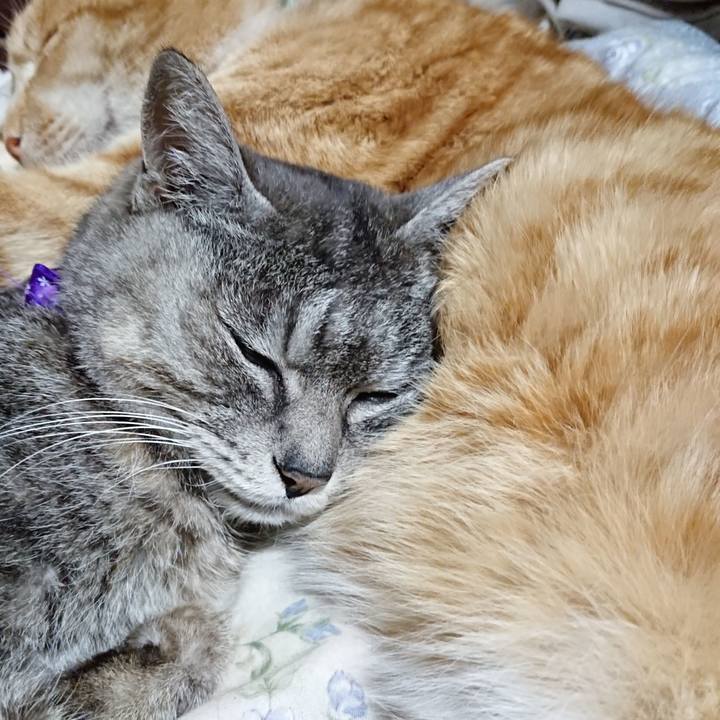 256941b8 4370 415d be4d 8ea52cbbb384 1583757190940