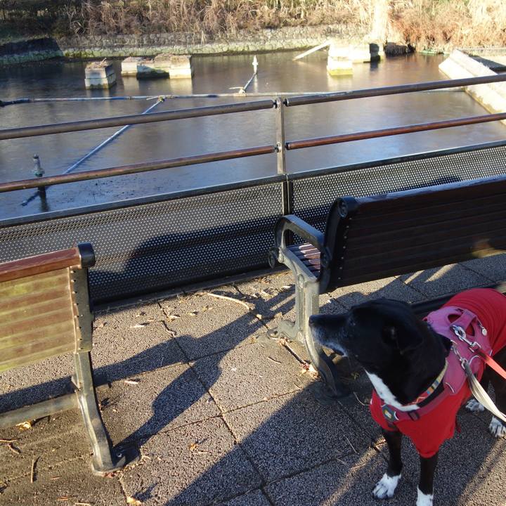 25695f7c 8048 4923 9a6a 9a2e4a627dae 1703464843189