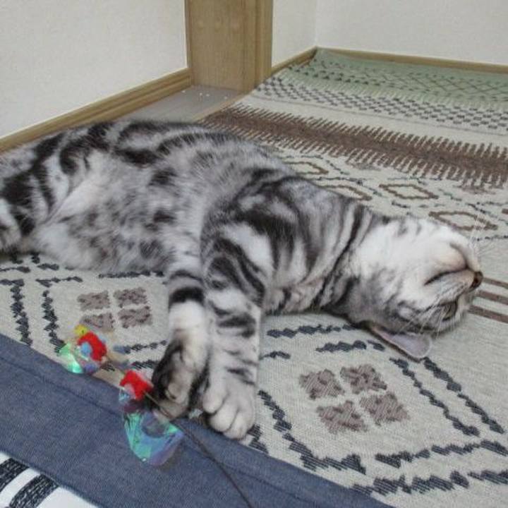 2569747c 51e8 482f be71 648171ef5b25 1541764398374