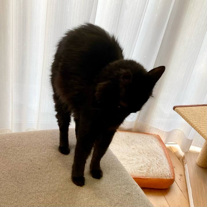 25697486 8d7a 4cfc a51b 44b1bc00f61a 1743159929972