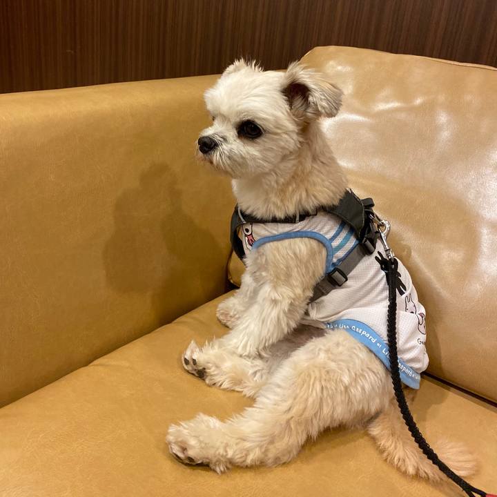 2569d0ef 6b00 4da7 a5c1 a7e34cdc457e 1572704047932