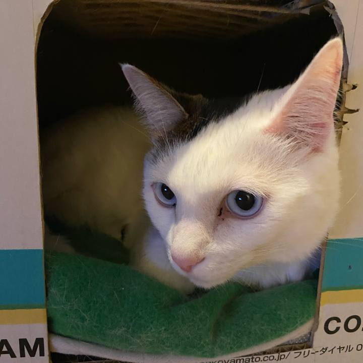 2569d79b 953c 4066 9d90 115121fc1bf8 1663453296681