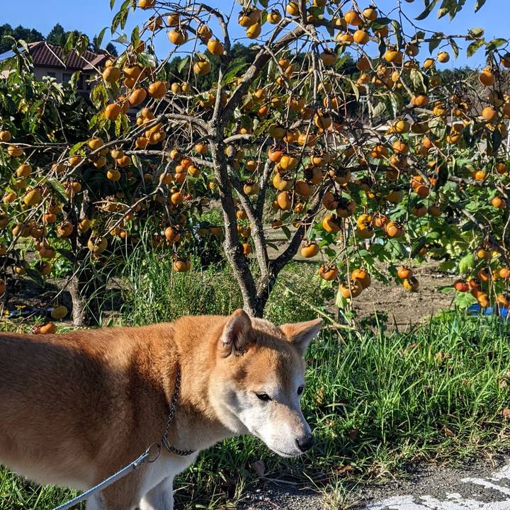 256a1e21 c5a1 4d0e a914 ab419a53003b 1665791224812