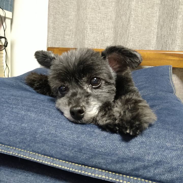 256a3081 f168 4db0 a8a5 65399664eae4 1716474621982