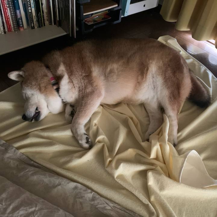 256aa127 5d69 4f10 98d9 02e097cbfef3 1662938471864