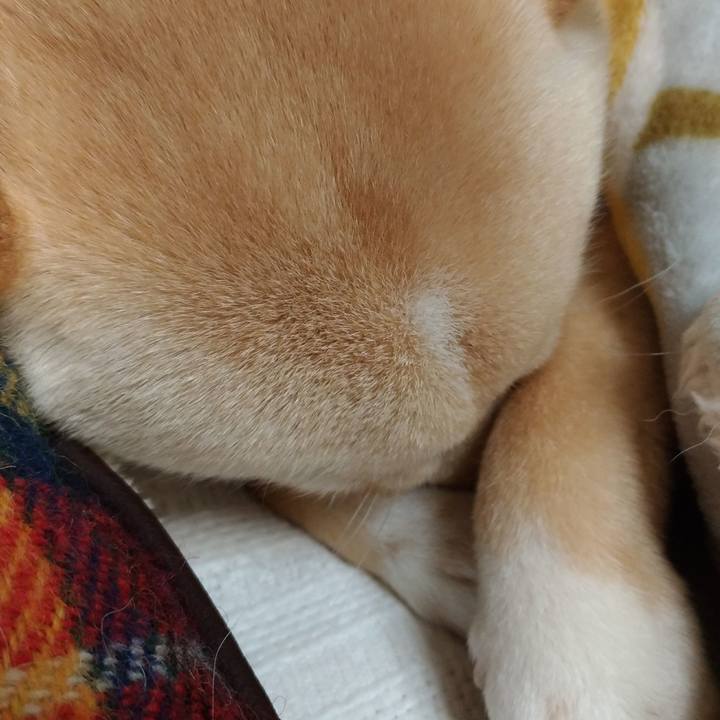 256ad91a 8a4c 41b5 8f67 1aba331681c6 1518183337448