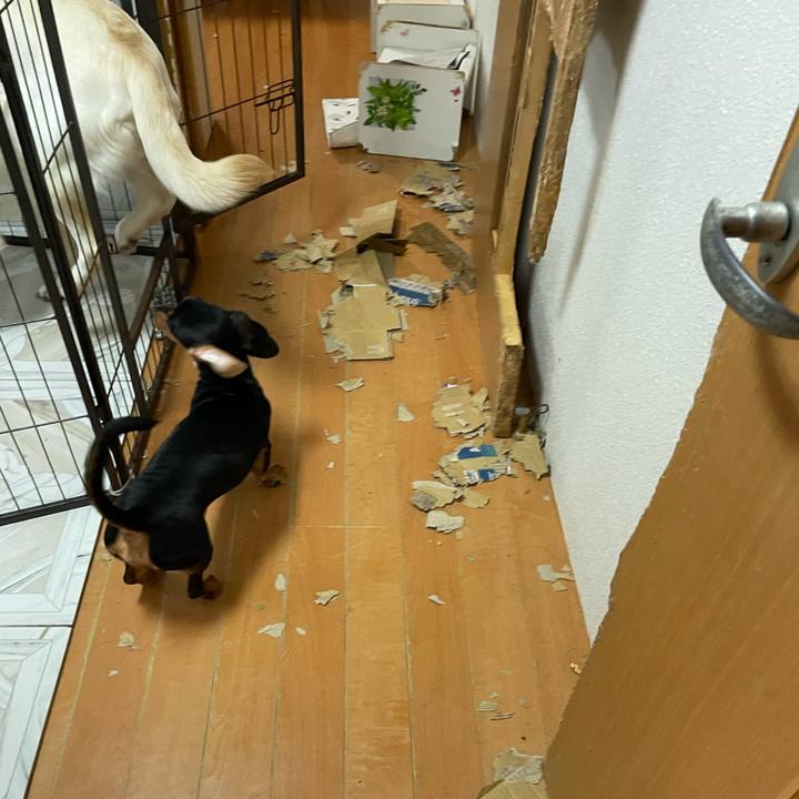 256adeff 5e85 4785 ad72 2b581278ca7f 1657877040927