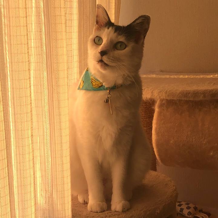 256b08ac 0544 4605 bd83 1997dca7a41c 1538036455194