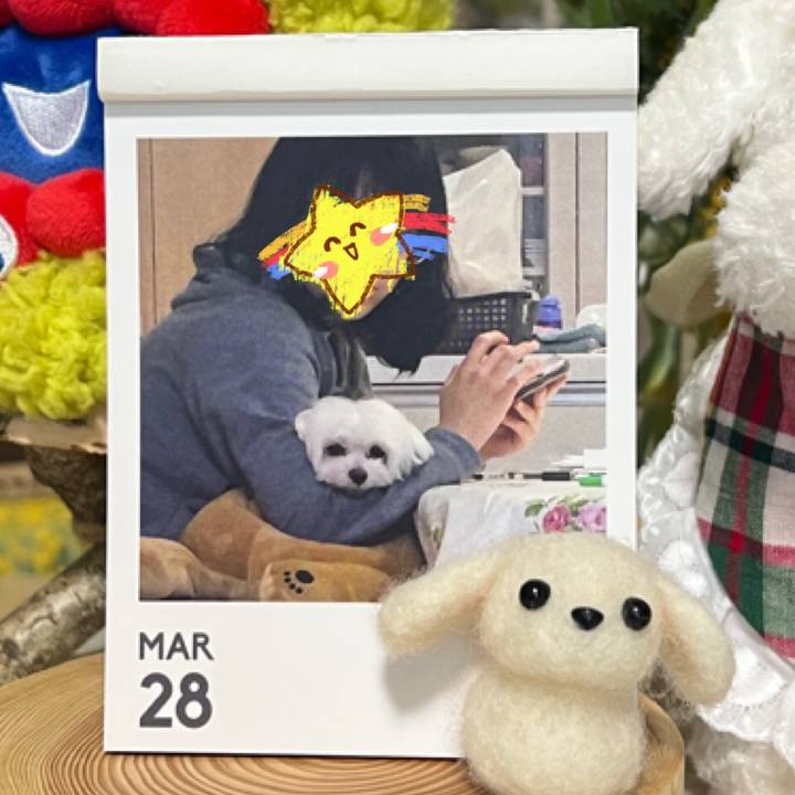 256b0e5a 6e21 4cd3 acda b2697ce748d3 1774773479199