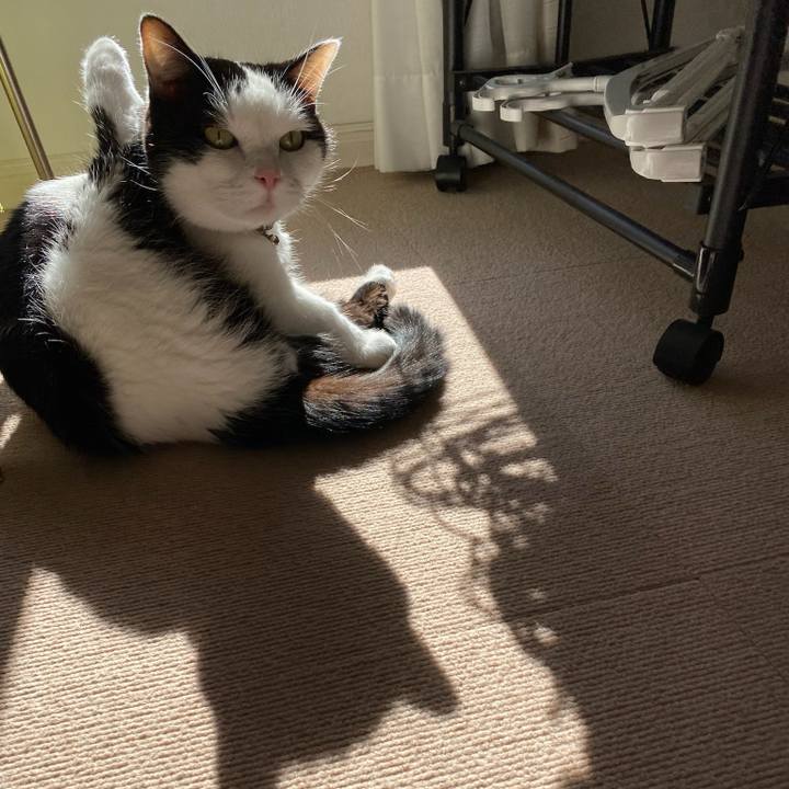 256b2830 7394 492f b43f fab1f19dfca8 1763161951146