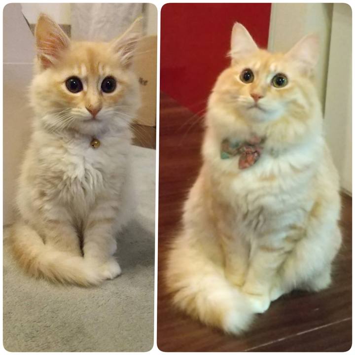 256b545c 6bfe 45e0 a2ef 9029dedfa40c 1636628284360