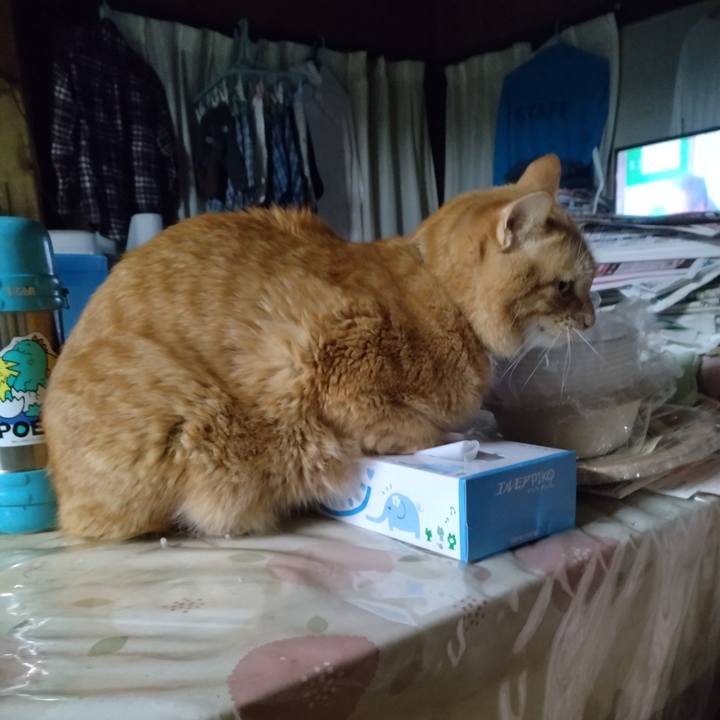 256b99b4 0f2d 4906 b4e8 1ce75e677f36 1706392911891