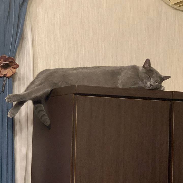 256bc680 4f19 4d51 a642 ac57580104e7 1581023265477