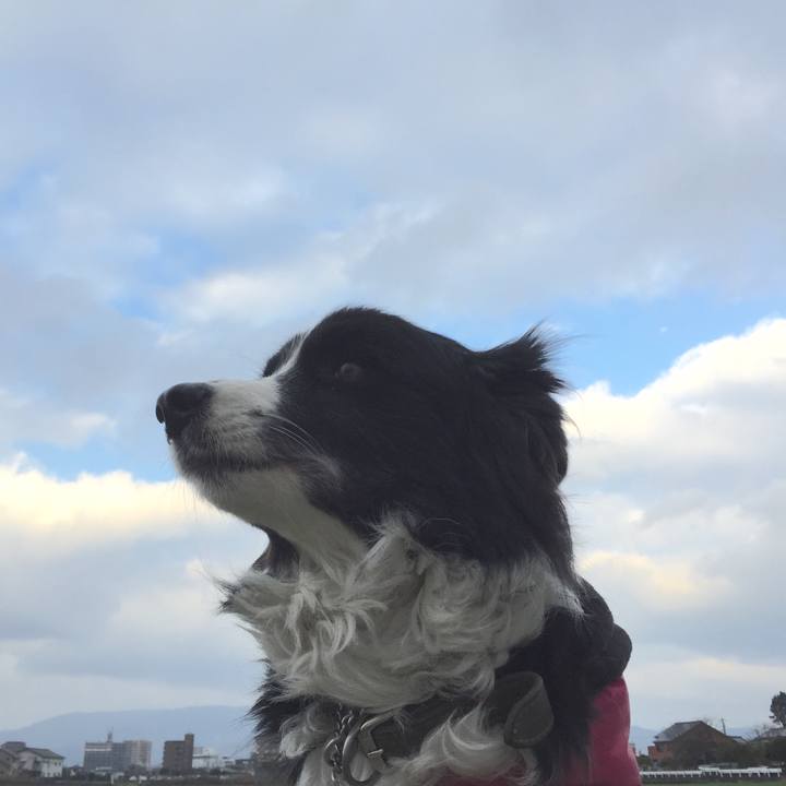 256bc723 ea1b 48cc 83ca de4bf05a0088 1547595338904