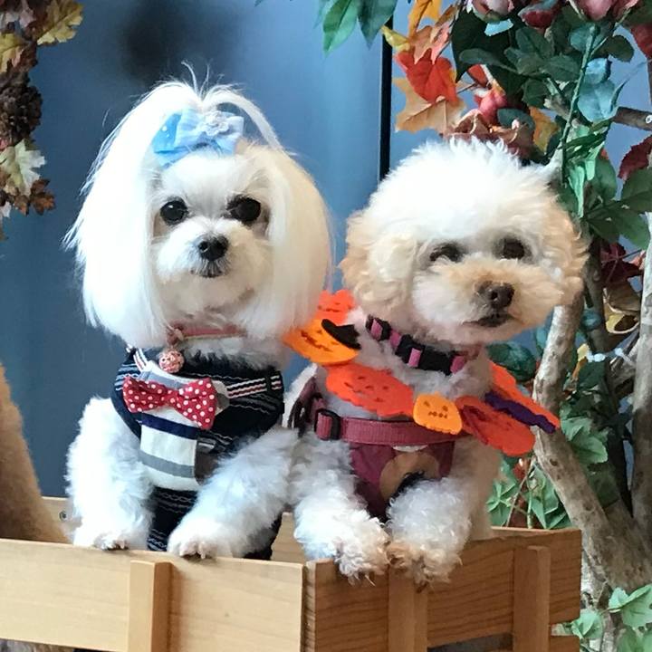 256be19d 56dd 4002 9550 c1d9be7788e3 1773380410873