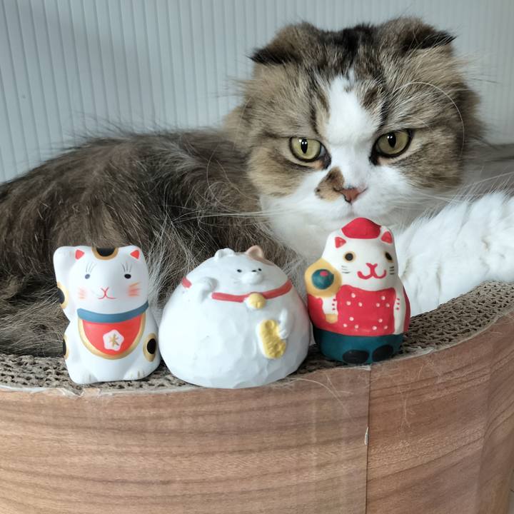 256bffd8 5ac7 4cc0 9c8d 3fa4d7fb5aaa 1766796131351