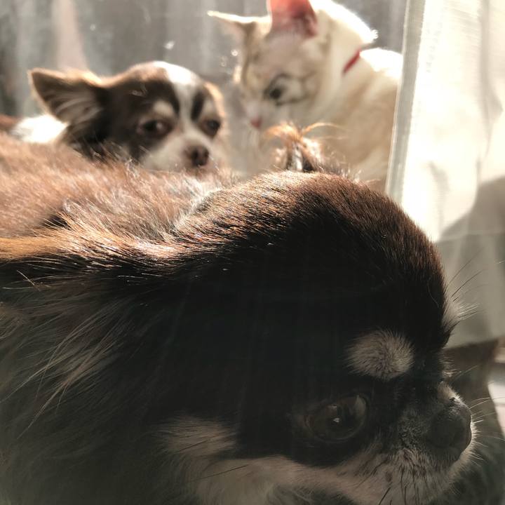 256c0b92 82e1 4bf4 969f 850dbd245700 1511671469003