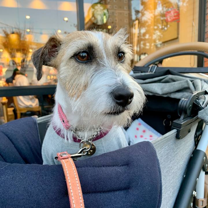 256c8208 dd64 4ac4 99b8 5fc12ed2bab0 1636275495527