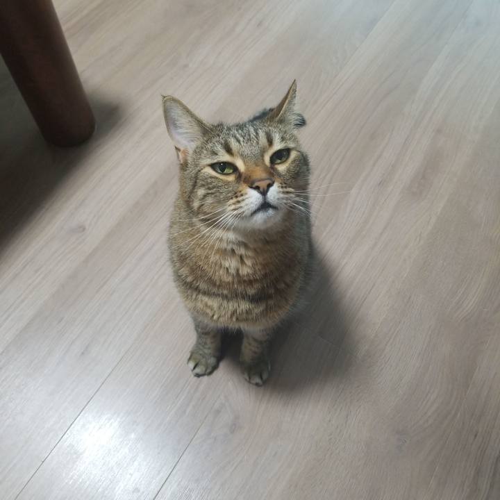 256ca03b 8189 4a81 9bfa d2794fb8f106 1589406043068