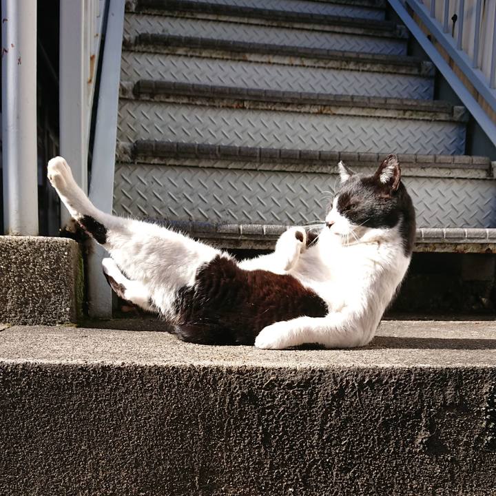 256cc6bf 0274 4614 94cd 9eb6842b3640 1549077418641