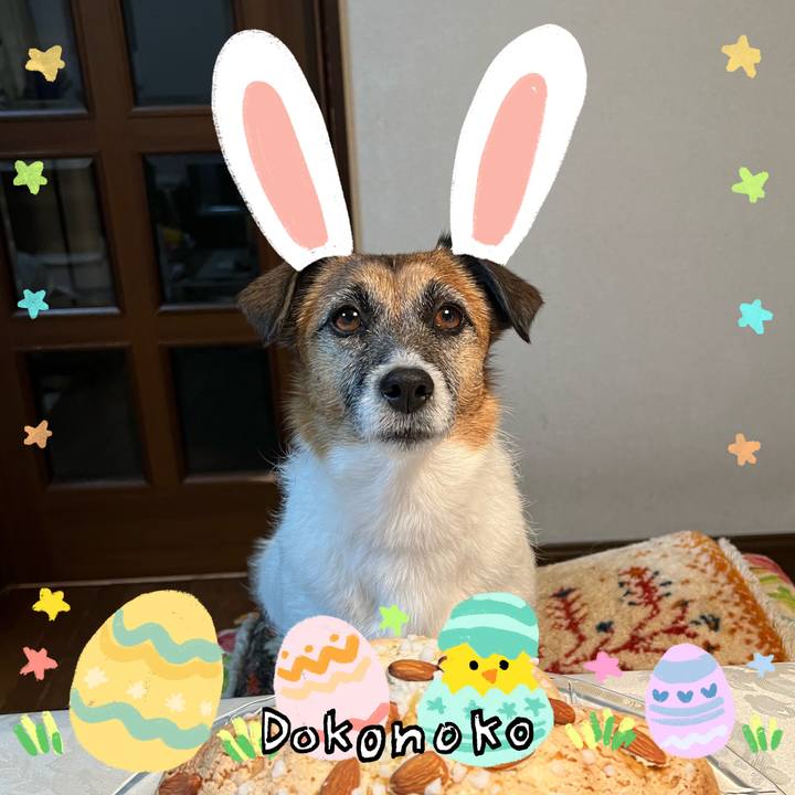 256ce89c 003d 4b4f 8075 335d2b138bf8 1712216182208