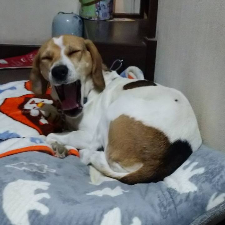 256cf1f4 7b59 4683 89b5 46b8e7466cab 1607355123553