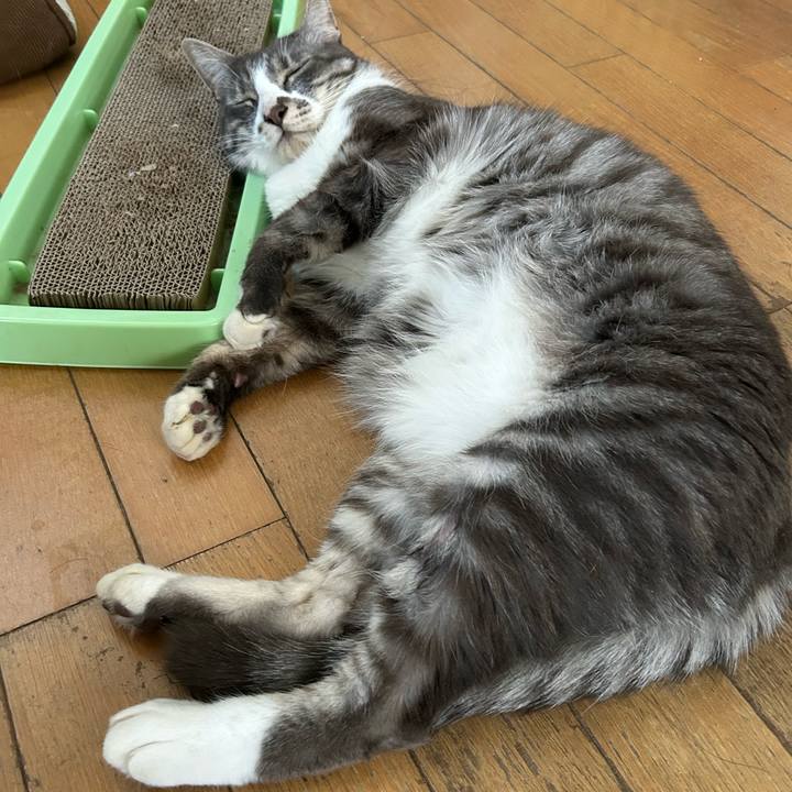 256d2e48 88fa 4f3e 9720 889afd10f4bb 1772418223234