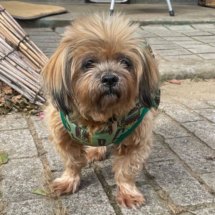 256d5543 07d1 41ee bf84 eee7bef7383a 1641189876915