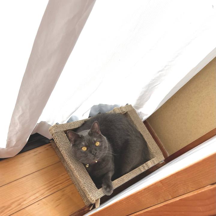 256d7a15 2e70 4436 bbae 119ca6f3775e 1768433056924